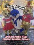 Уйде отырып Дайын Бизнесс баста!Прокат и Продажа Кастюмы
