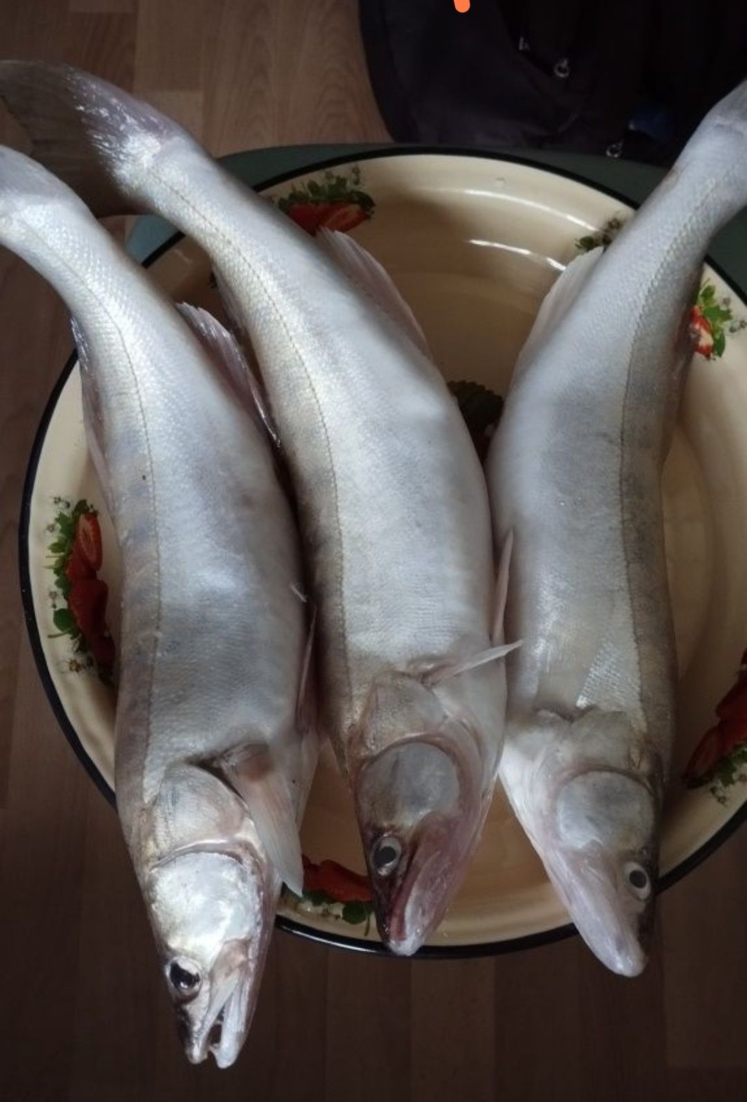 Продам рыбу судак