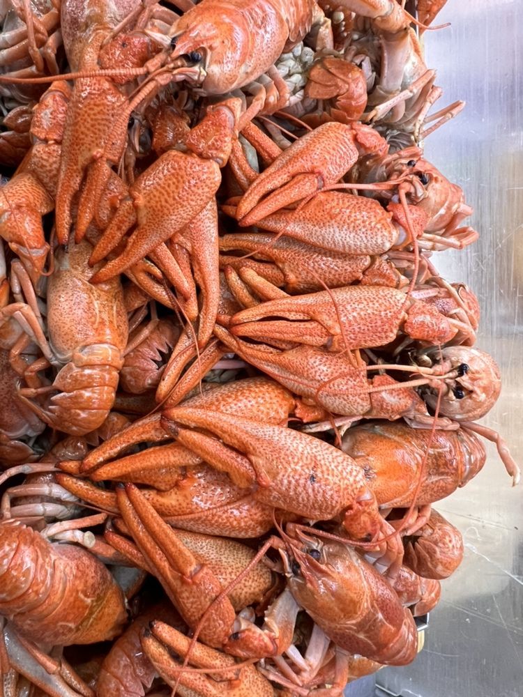 Раки морские отварные