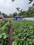 Продам дачу общество Спутник (озеро Пестрое)