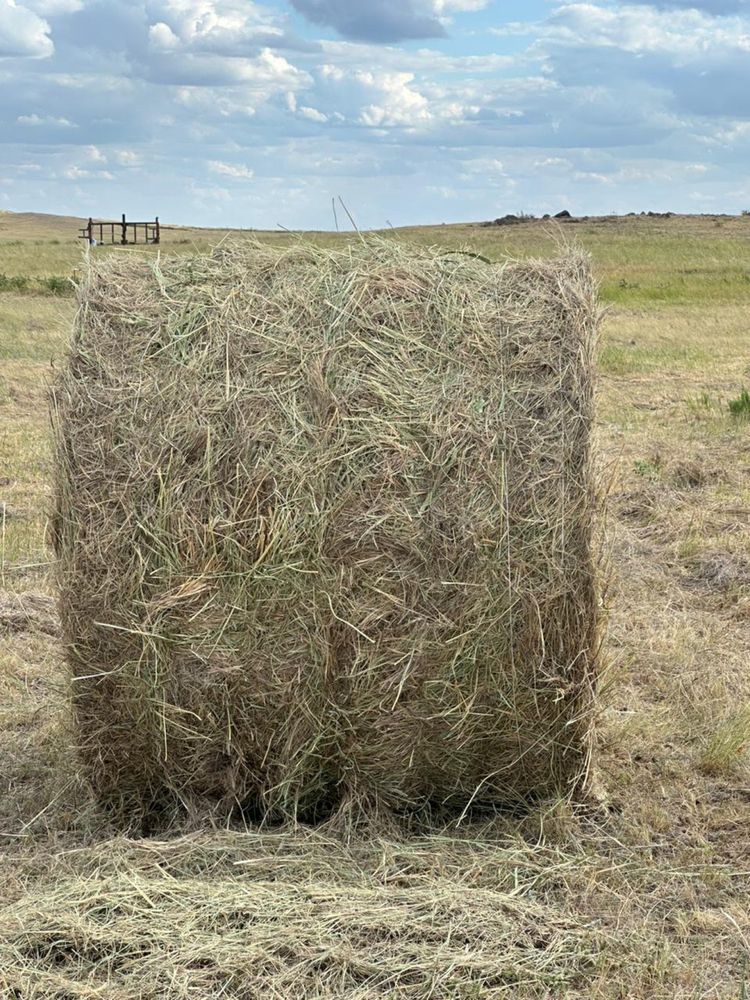 Сено в рулонах!!
