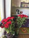 Тараз қаласы адрес рахмет жолаева 36 а