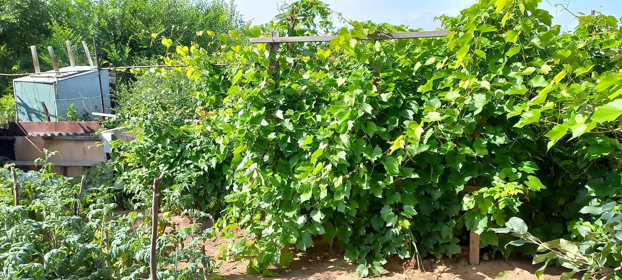 Продам 3х комнатн квартиру