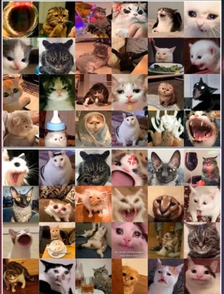 Наклейки с мемными кошками