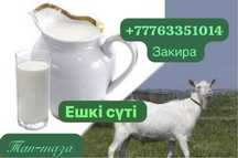 Ешкі суті таза,Козье молоко,литр 1000тнг,мкр:Катын копир,еш коспасыз!