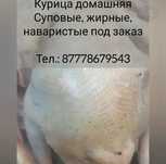 Продаю курей домашних