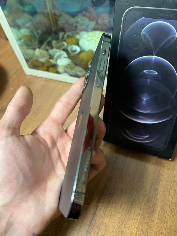 Айфон 12 pro iphone
