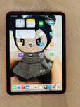 iPad 10th generation