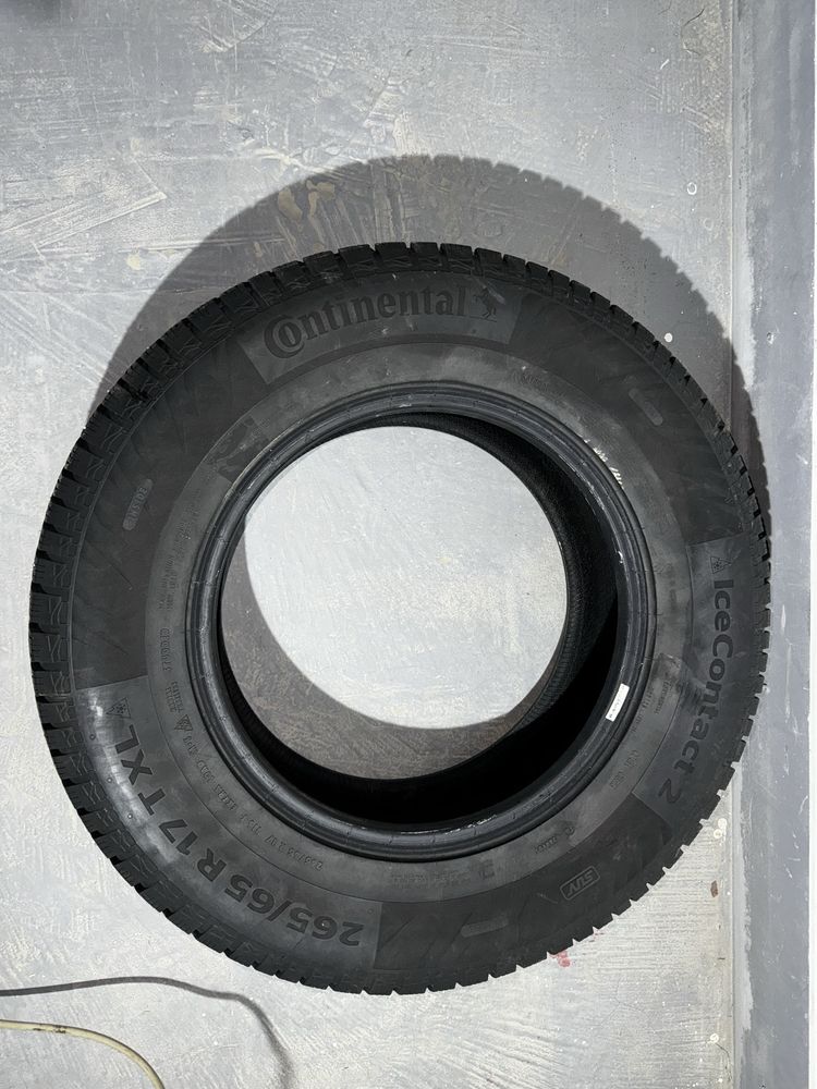 Continental ice contact 2