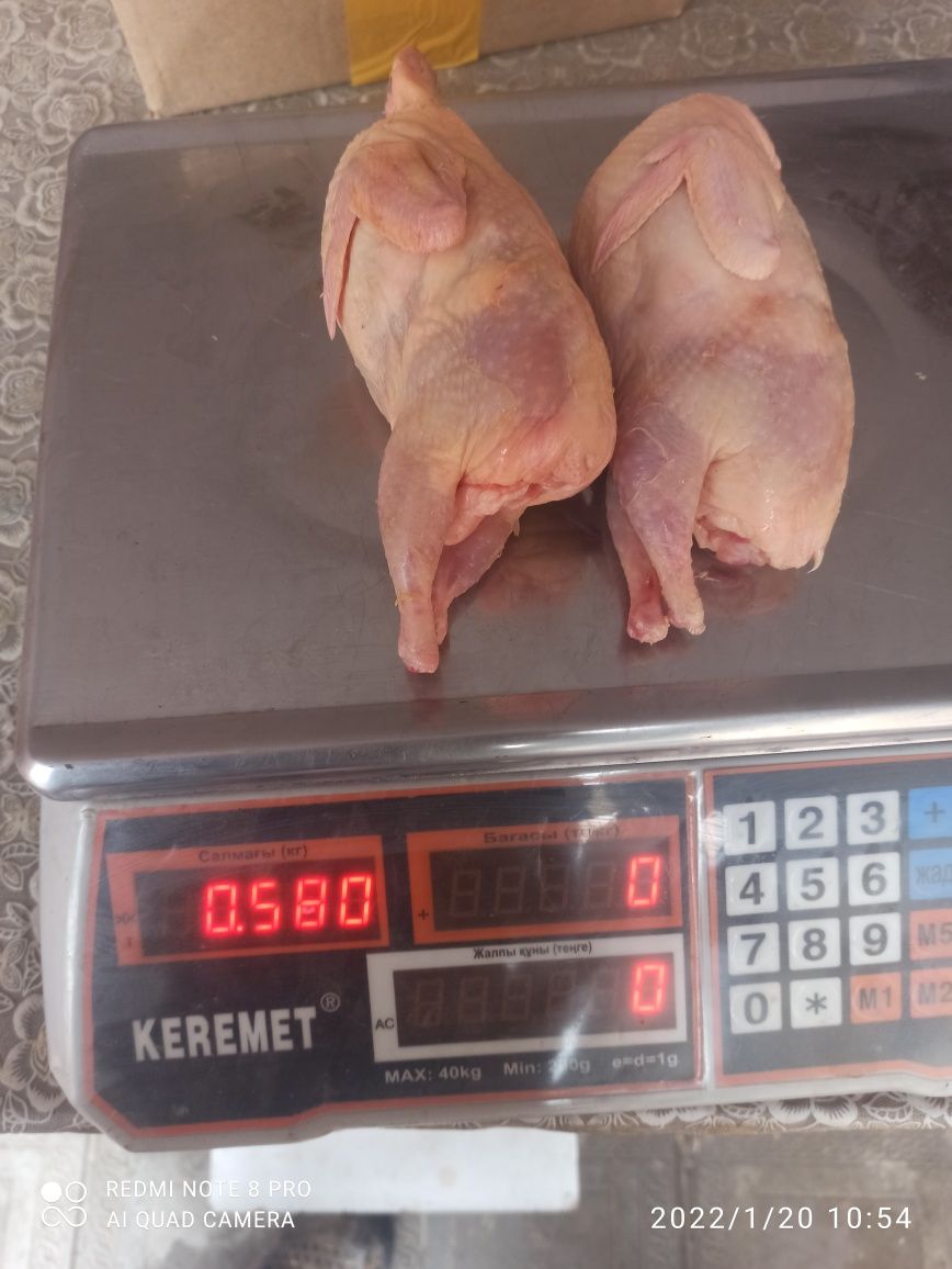 Емге бөдене еті. Мяса перепелиное для леченя