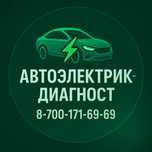 Автоэлектрик-диагност