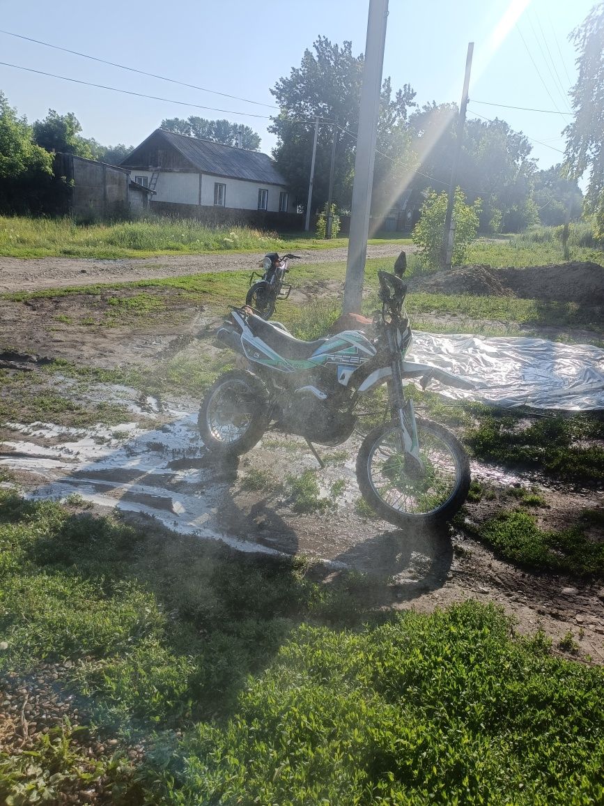 Panther 250 тур эндуро
