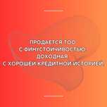 Продам ТОО с финустойчивостью