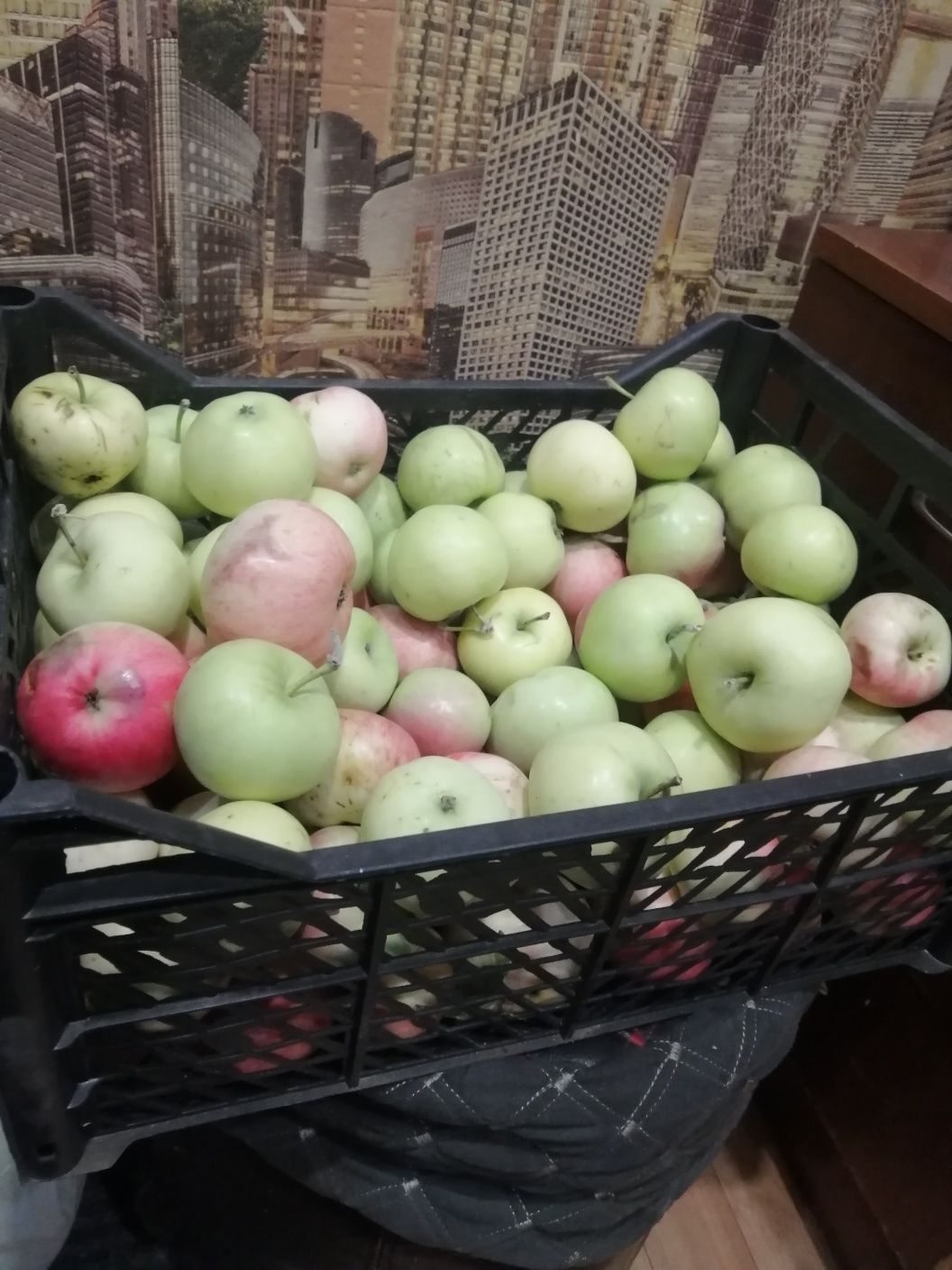 Дачная продукция.
