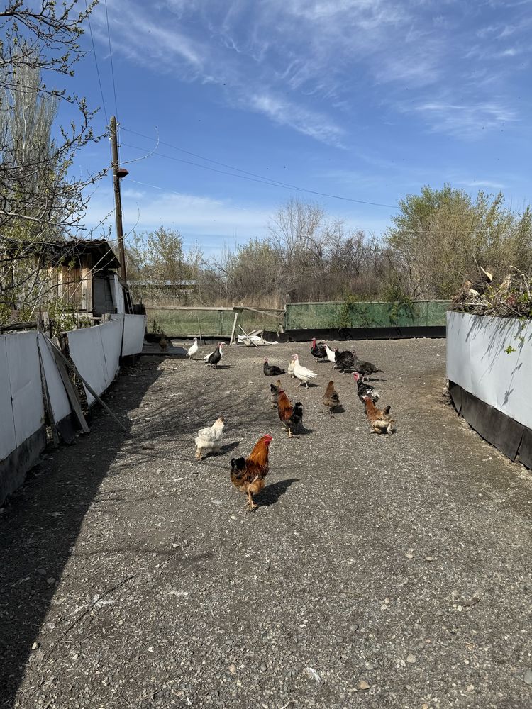 Продам дом