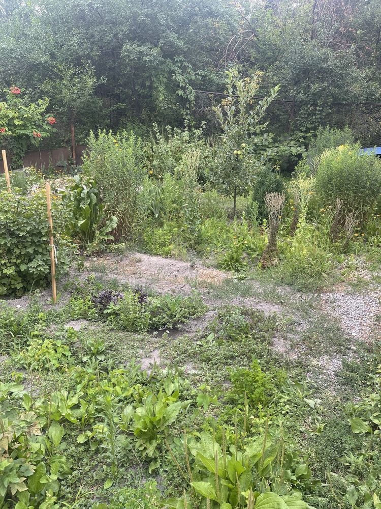 Продам дом  5 комнат, в хорошем районе.139 кв, 4 сотки