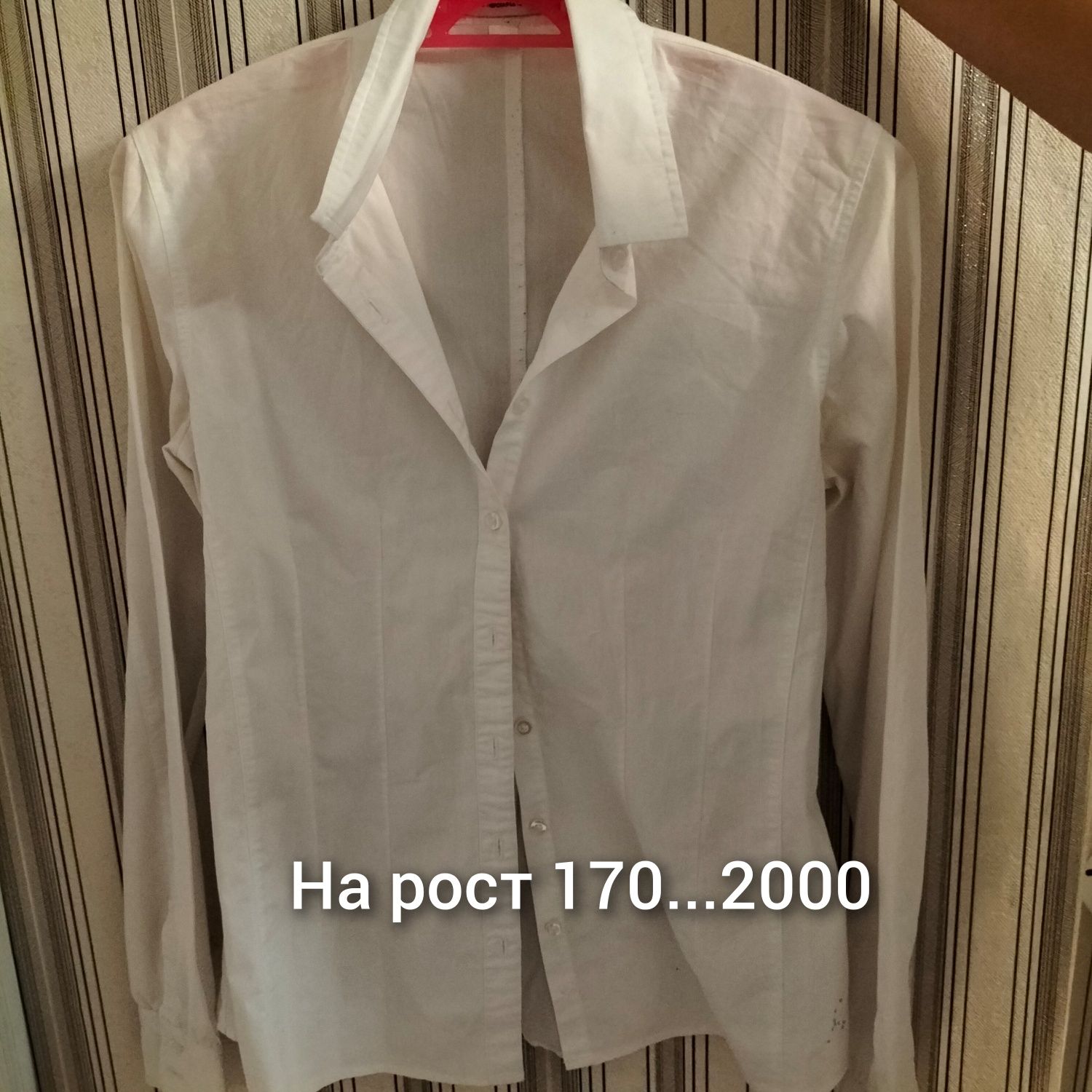 Рубашки цена, размер на фото