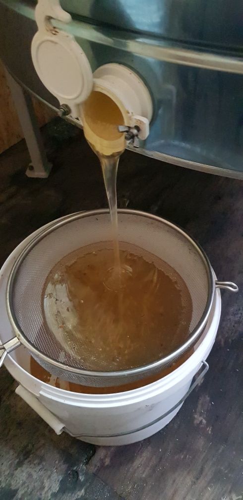 Продам свежий мёд оптом.