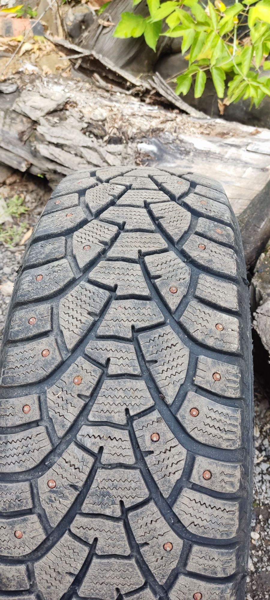 Продам шину Motodor
