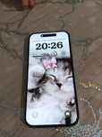 Продам Айфон 15 новый