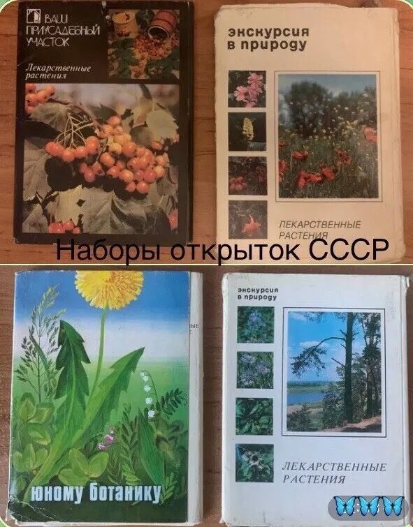 Все о растениях разные книги