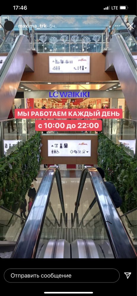 Вертикальное озеленение. Студия нестандартных фито-решений