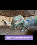 Продажа макет животных