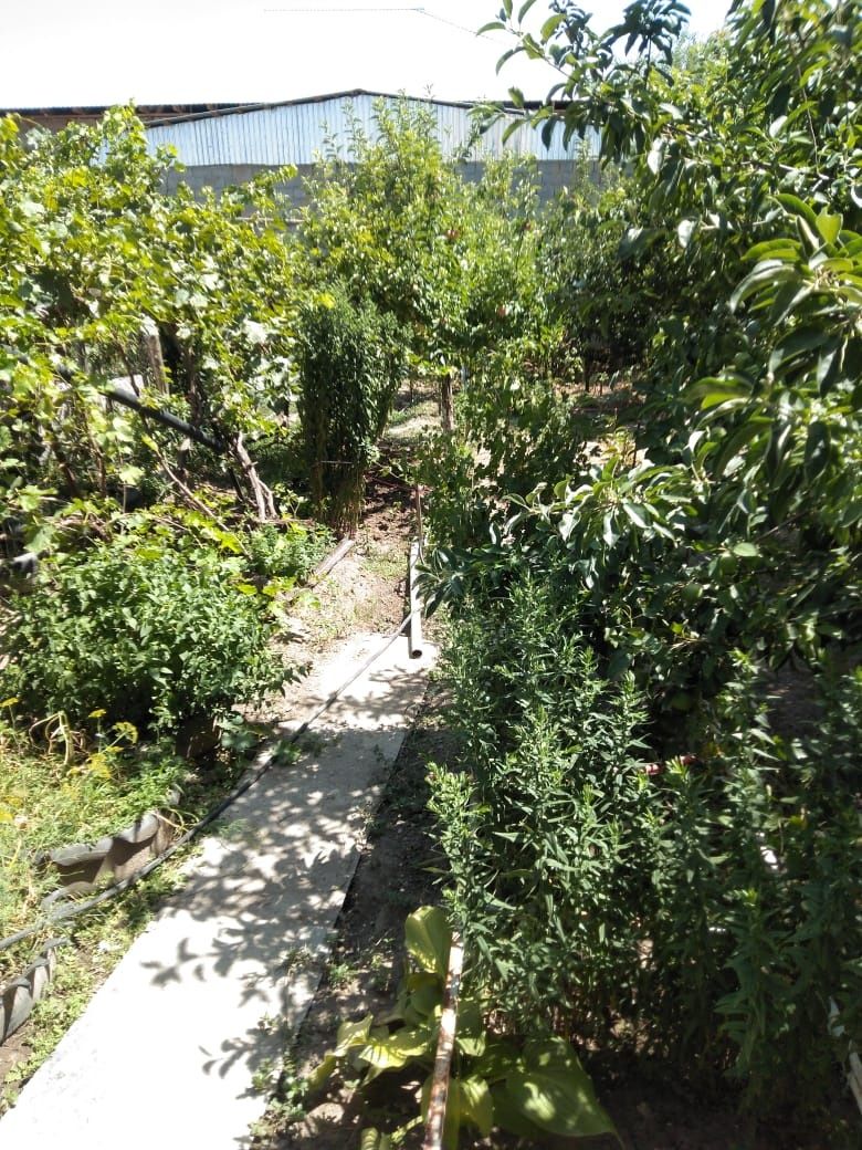 Продается  дом 8сот село аксукент