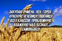 Пшеницу 3,4 класс, Внеклассную , Ячмень, Лён, Овес