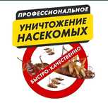 Дезинфекция Не дорого Качественно Таракан Кандала Муравей Насекомы Қан