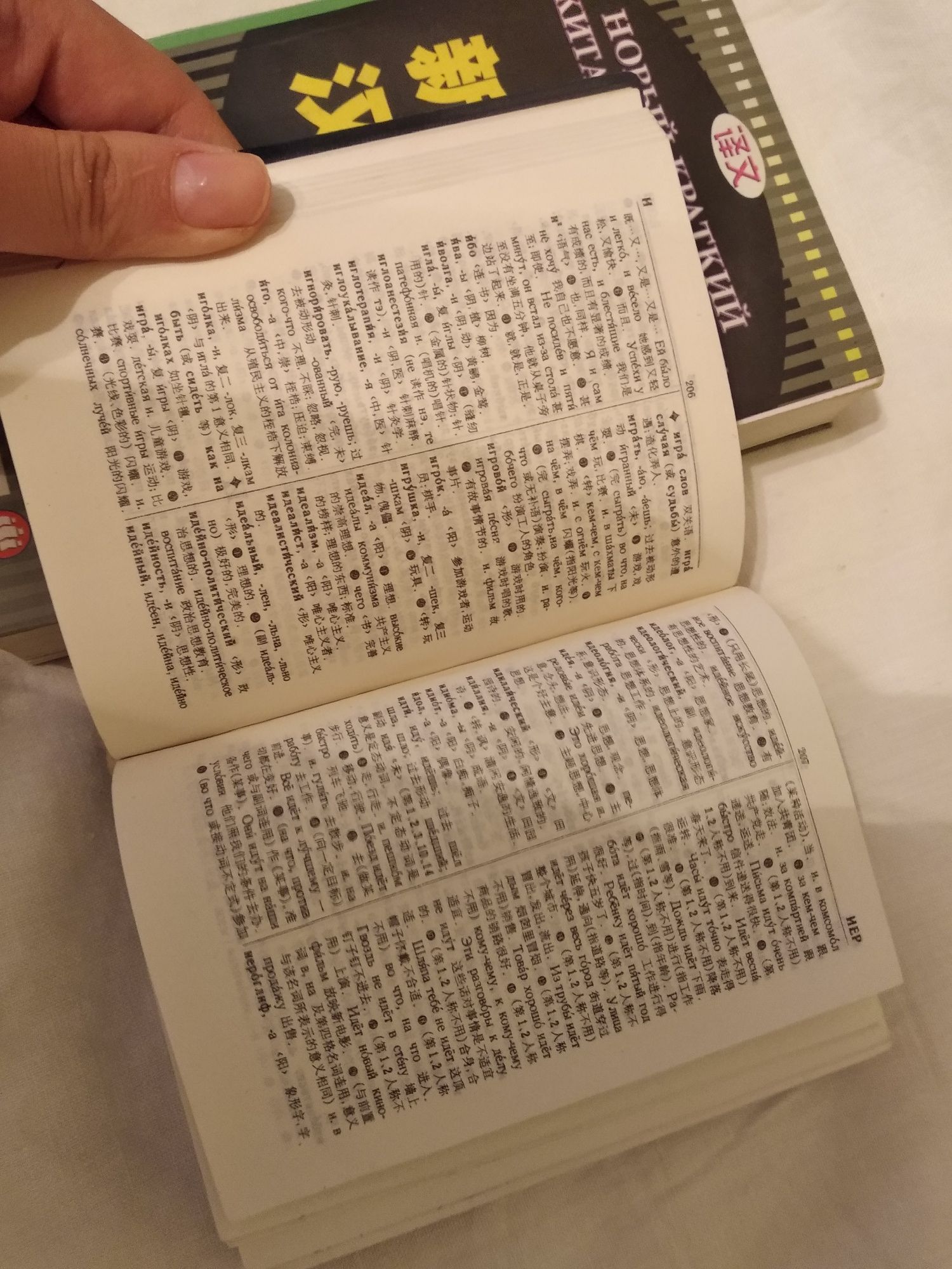Словарь русско-китайский и китайско-русский. Книги