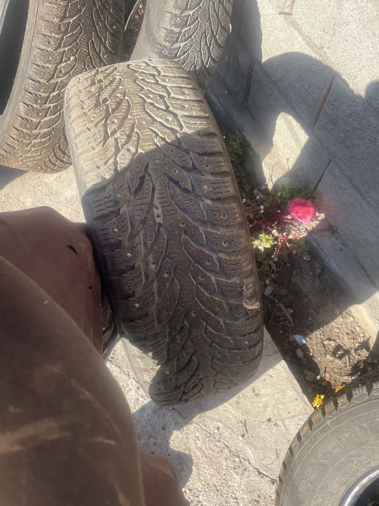Продам зимние шины шипованные