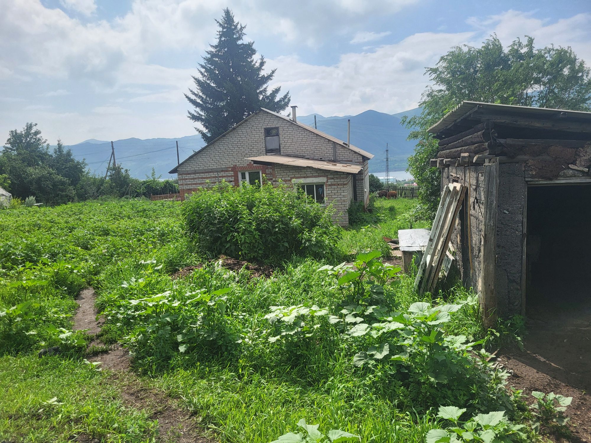 срочно срочно Продам дом 3-ком дом