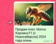 Продажа пчелосемей