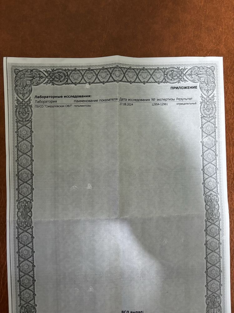 Продам клетку с крысками