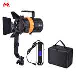 Свет Falcon Eyes P5TD (Fresnel 50 Вт) — полный + расширенный комплект