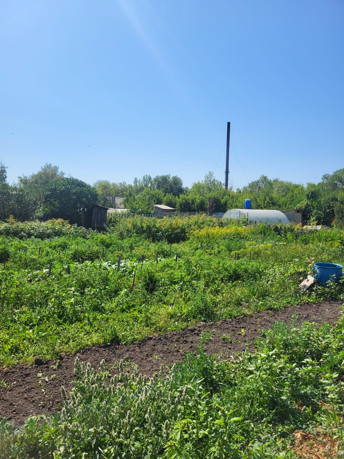 Продам дачу  10 соток. Возможен торг.