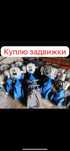Запорная арматура задвижка фланец отвод клапан кран шаровый
