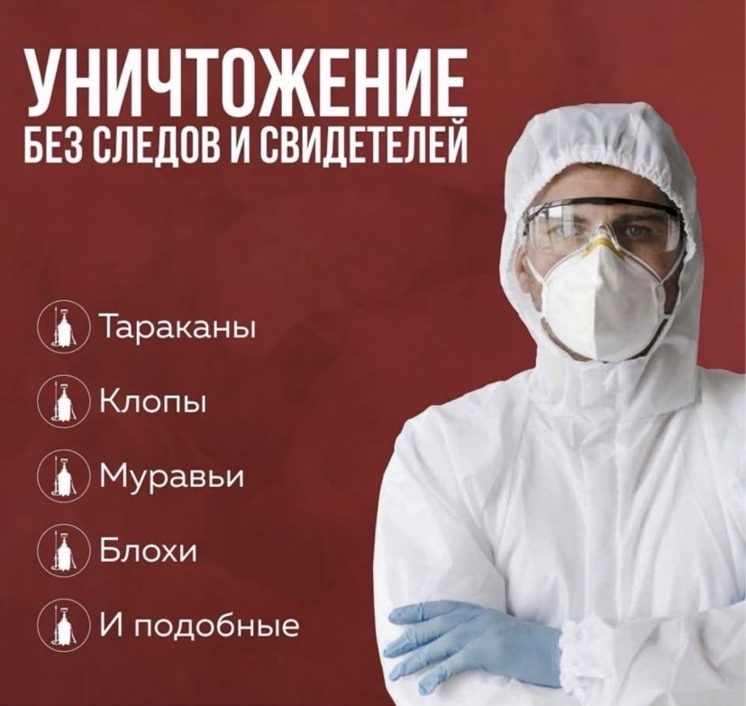 Дезенфекция Уничтожения всех видов насекомых. Результат 100%.