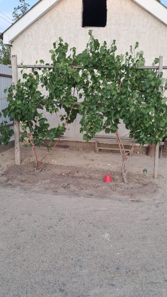 продом частный дом