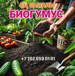 БИОГУМУС / Ең мықты тыңайтқыш / Почвосмесь / Удоврение
