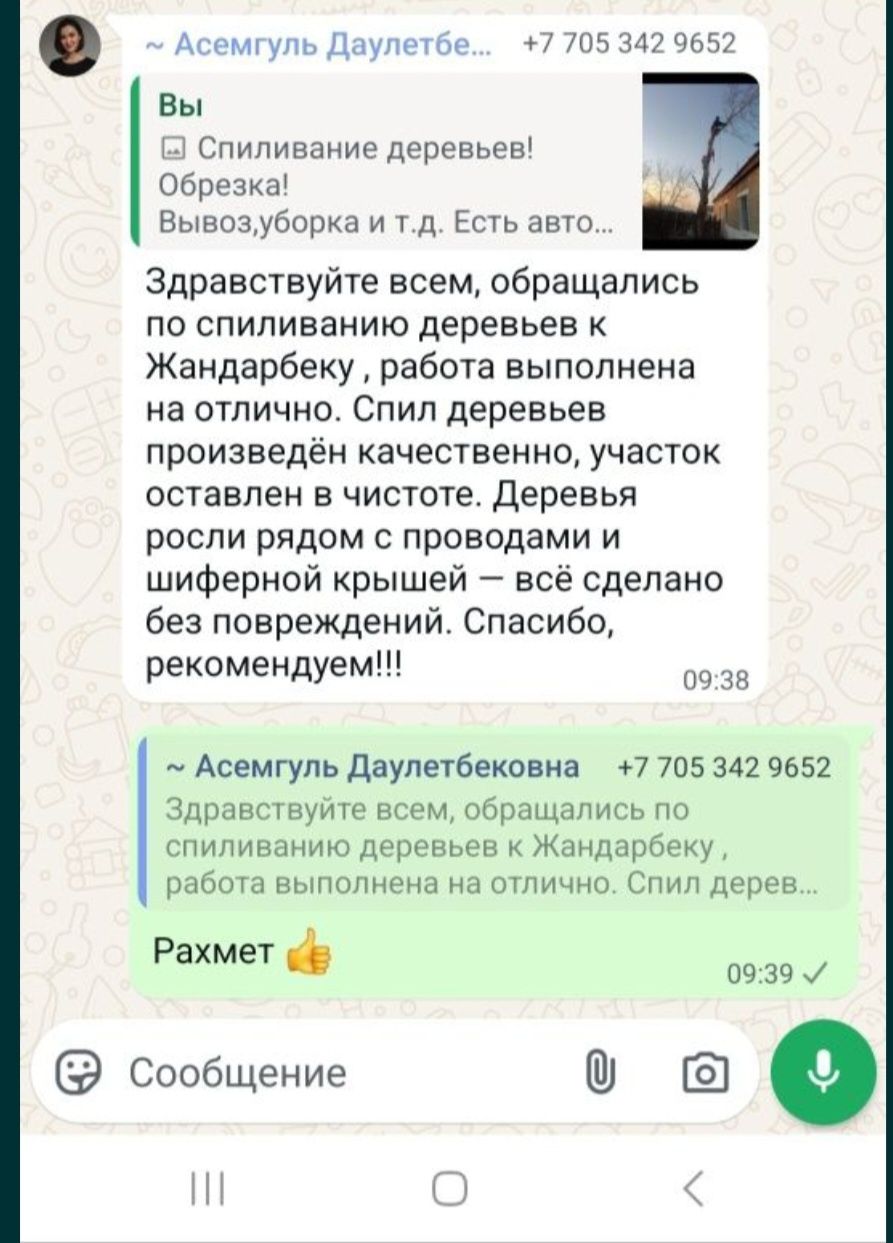 Спиливание деревьев! Обрезка! 
Вывоз,уборка и т.д. Есть автовышка, газ