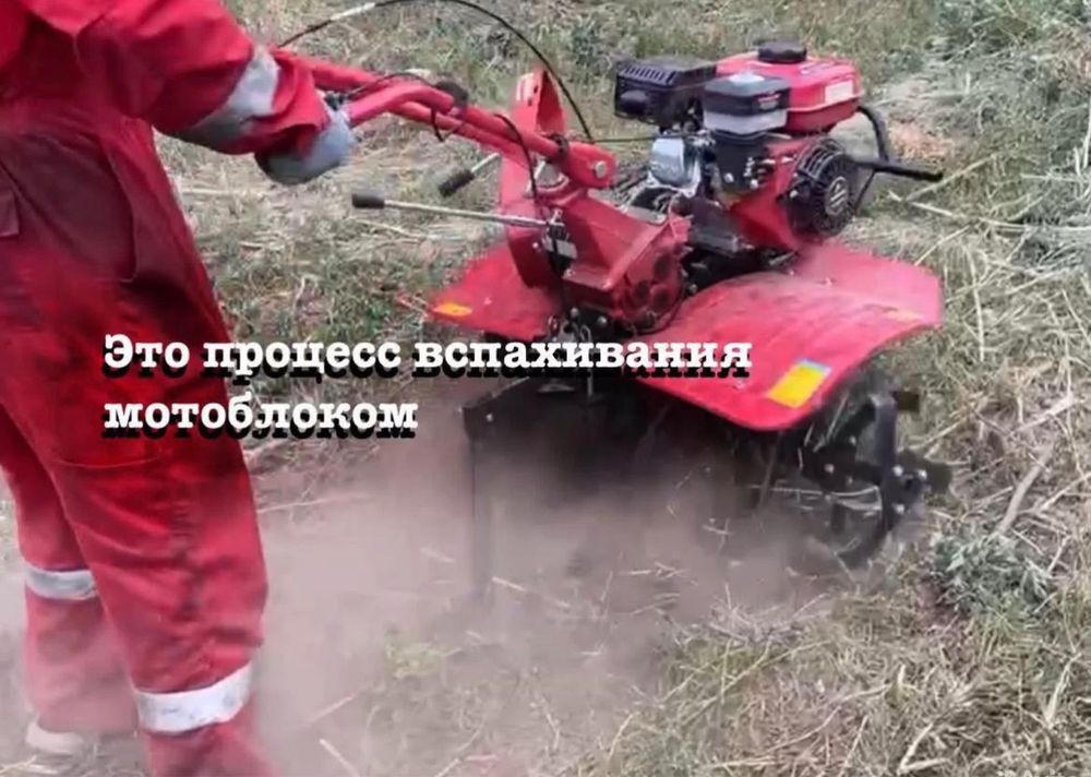 Покос травы спил деревьев