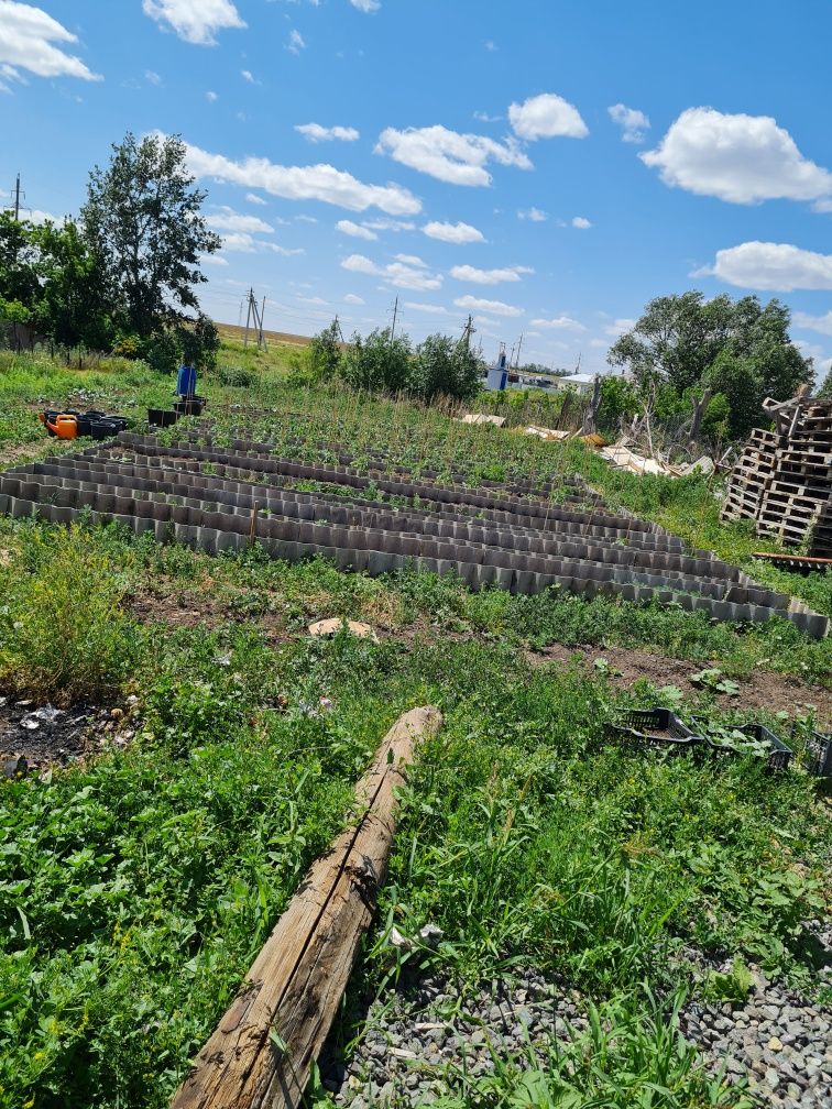 Продам или обмен полдома с.Уштобе