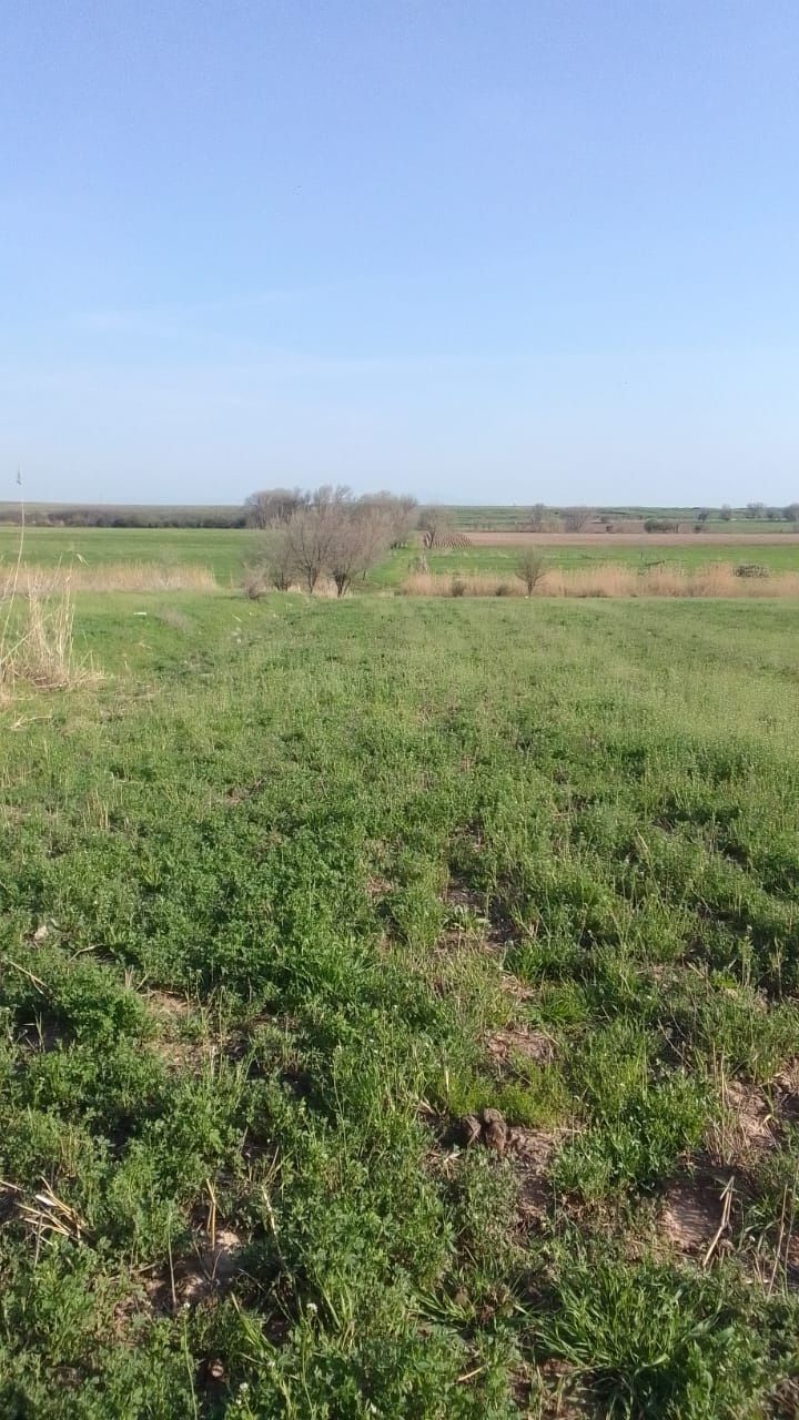 Жер суармалы, земля поливная