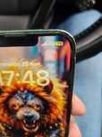 Продам Iphone 13 128
