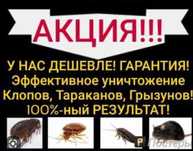 Дезинфекция жасаймыз,Колжетимди багада.Сапасы жогары