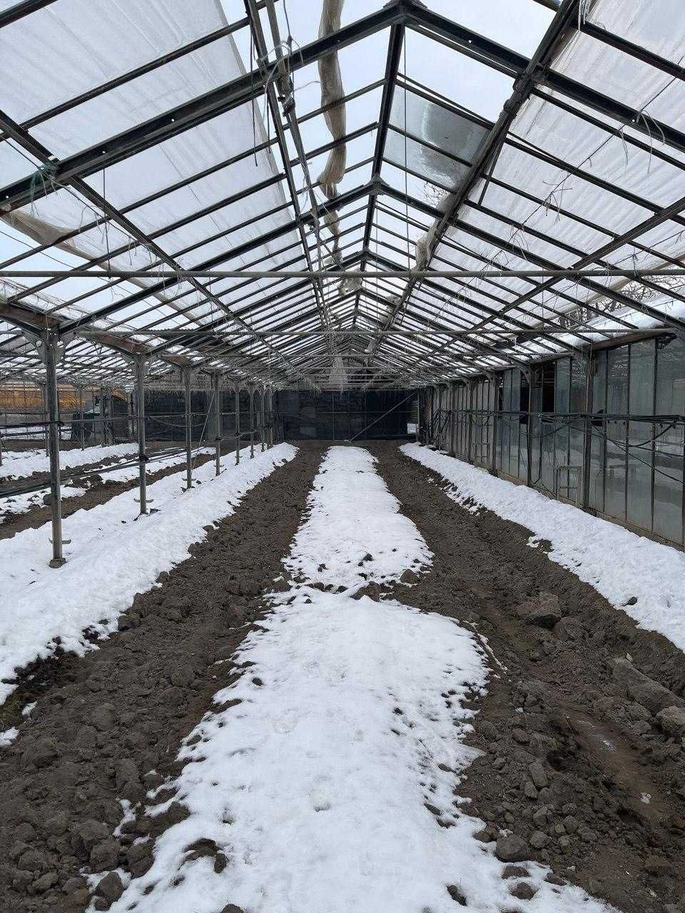 Теплица оцинкованная