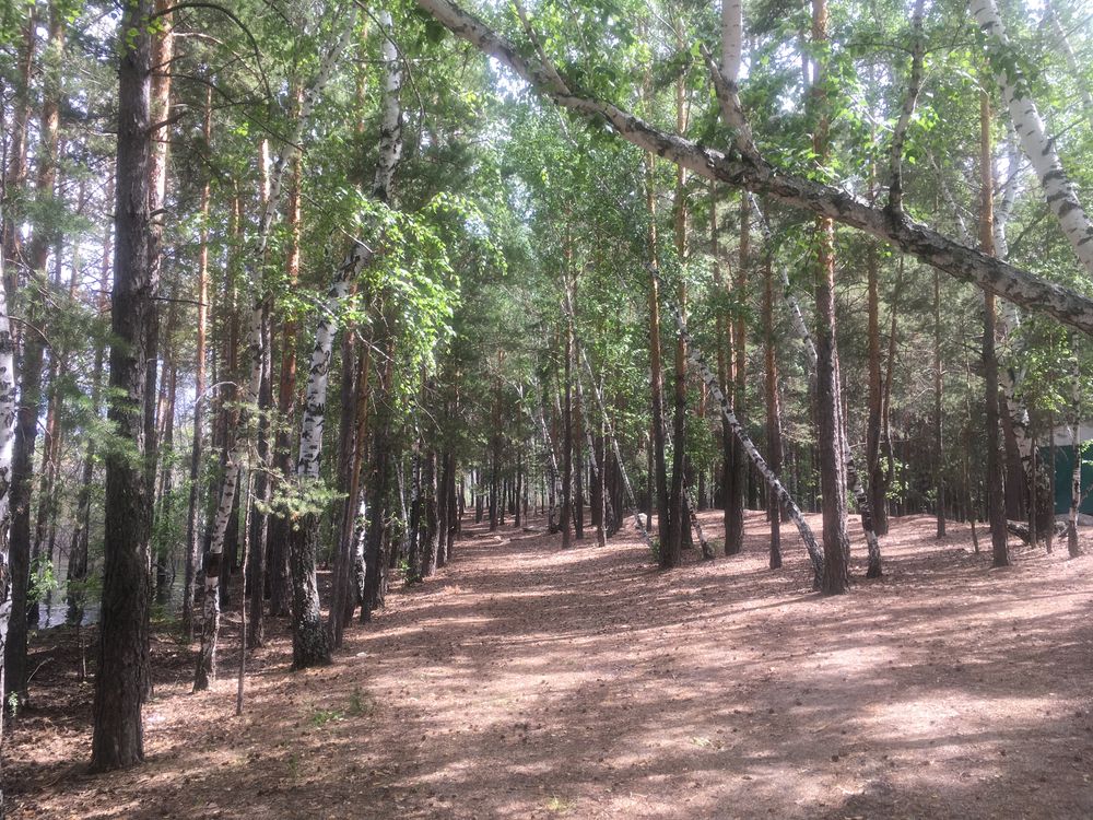 Сдам посуточно домики