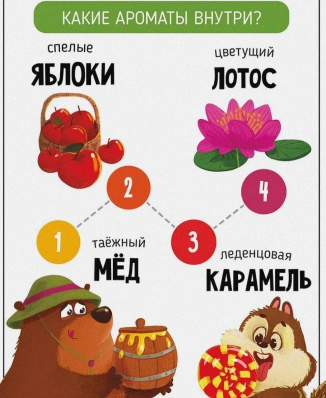 Ароматная книга "Запутанная история"
